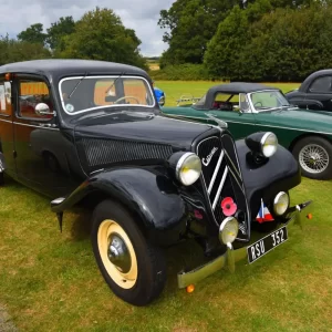 Apex Automotive Excellence New Heights.